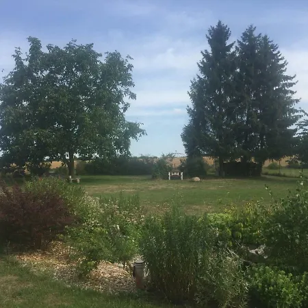 Alte Kuesterei Hohen Mistorf Eksteriør billede